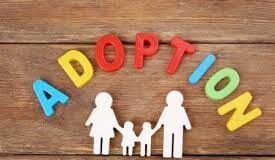 Adoption UK responds to Gavin Williamson’s comments on adoption