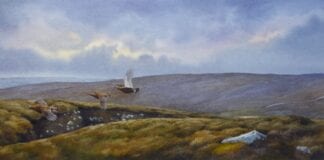 Popular Aberystwyth wildlife artist adds his support to charity gallery