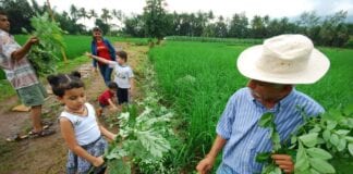 Agriculture’s role in unravelling the ‘Paradox of Plenty’