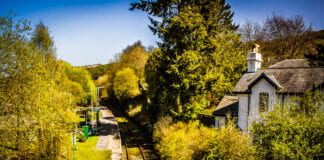 Transport for Wales celebrates carbon footprint reduction on Clean Air Day