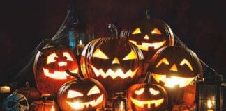 126,000 tonnes of pumpkin waste are heading to landfill this year