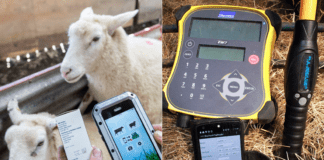 Calling all dairy, beef, sheep and goat farmers…put away your pad and pencil and store all your animal management records online!