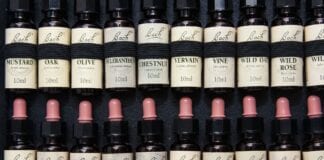 The Health Guru – Lockdown