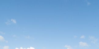 Multi-targeted strategy reduces carbon footprint and maximises profits