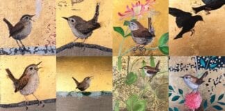 Oriel y Parc celebrates biodiversity with #1000 postcards