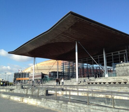 Welsh Tory leader resigns