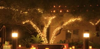 WINTER GARDEN WONDERLAND: NICEIC ADVISES ON LIGHTING UP THE LONG LOCKDOWN NIGHTS