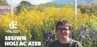 Sesiwn Holi ac Ateb Garddio Ar-lein