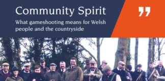New report outlines the importance of game shooting to the Welsh public