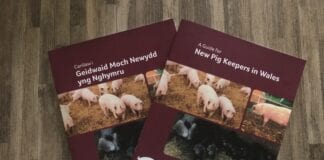MENTER MOCH CYMRU YN LANSIO CANLLAW AR GYFER FFERMWYR MOCH NEWYDD