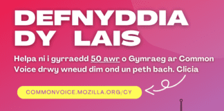 Mudiadau Cymraeg yn gosod her i Gymreigio technoleg