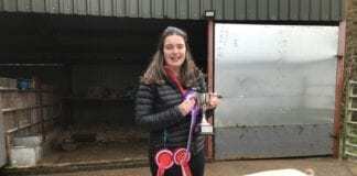 CEREDIGION YOUNG FARMER WINS PIG FINISHING COMPETITION AT VIRTUAL ROYAL WELSH WINTER FAIR