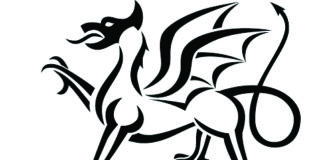 Canolfan wybodaeth a chyngor yn agor i helpu cludwyr ar ddiwedd y cyfnod pontio o’r Undeb Ewropeaidd