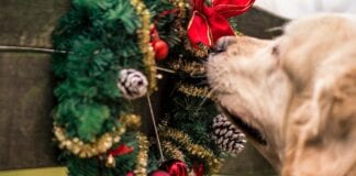 FLEAS Rockin’ Around Your Christmas Tree