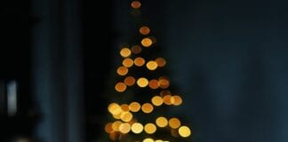 Gift Ideas for the Person Who Has Everything
