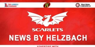 Scarlets Secure Second Festive Derby Success Against Dragons