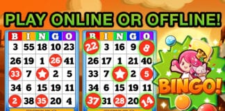 Beginner’s Guide to Online Bingo