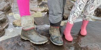 NEW Dinosaur footprint discovery found at the Bendrick Barry