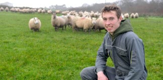 Cynnal y traddodiad ffermio teuluol, gyda help llaw gan raglen Cyswllt Ffermio