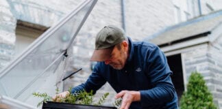 CARDIGAN BASED ENTREPRENEURS LAUNCH GARDENING START-UP ‘HARVST’ – A PIONEERING SMART GREENHOUSE BUSINESS
