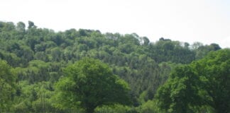 Ffermwyr yn dweud bod bioamrywiaeth ar y fferm yn mynd law yn llaw â chynhyrchu bwyd