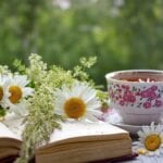 5 Herbal Teas To Improve Health & Wellness