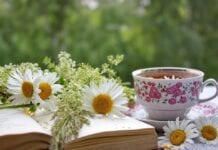 5 Herbal Teas To Improve Health & Wellness