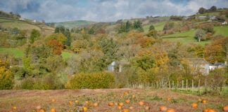 Hoffter y cyhoedd yng Nghymru o ffermio yn rhoi ail-fywyd i’r sector casglu eich hun
