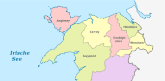 A WEBSITE FOR ALL LOCAL WELSH LANGUAGE PAPERS – THE PAPURAU BRO