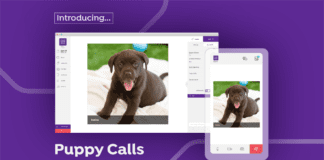 company launches new service guaranteed to make any virtual business meeting 100000 times better (and yes it does include dogs 🐶)