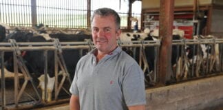 Rhoi sylw i iechyd traed yn werth £25,000 y flwyddyn i fferm laeth yng Nghymru