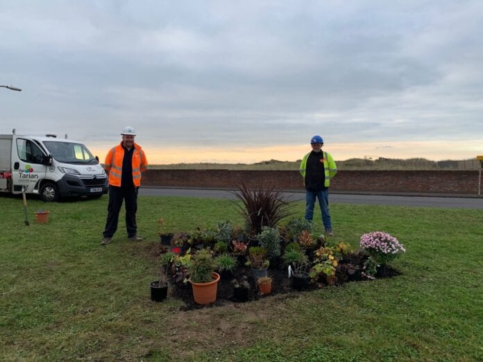 Sandfields planting 6