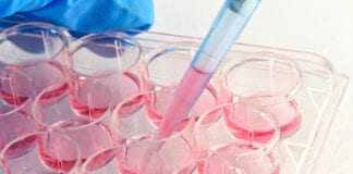 Animal Rights VS Biomedical Research