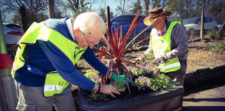£100,000 grant awarded to enhance biodiversity at railway stations and in communities