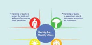Clean Air Wales: THESE are the areas with the best air pollution rates