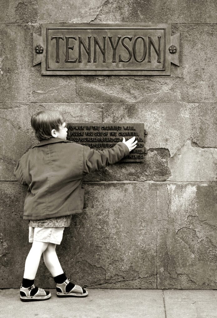 Boy and Alfred Lord Tennyson poetry monument