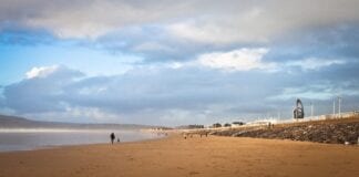 IMPORTANT INFORMATION FOR DOG OWNERS – ANNUAL ABERAVON BEACH DOG ORDER COMES INTO PLACE ON MAY 1ST