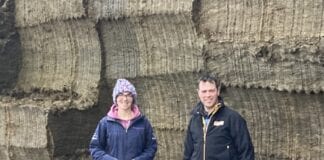 LLYSYFRAN DAIRY BUSINESS TAKES TOP SILAGE AWARD