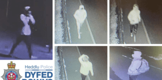 Dyfed-Powys Police appeal following Llanelli Assault