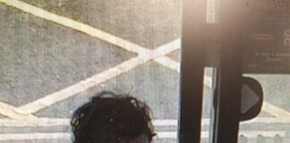 Dyfed Powys Police appeal for information in theft investigation