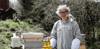 Small-scale diversified ventures can ‘bring home the bacon’ for smallholders – Farming Connect goes online for this year’s ‘virtual’ Royal Welsh Smallholding & Countryside Festival