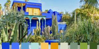 Blooming Beautiful: Colour Palettes of The World’s Most Famous Gardens