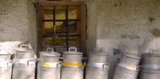 Celebrate Dairy For World Milk Day 2021 Says FUW