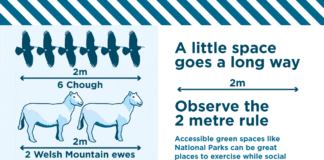 Tîm y Parc Cenedlaethol yn cyrraedd y rhestr fer mewn gwobrau Cysylltiadau Cyhoeddus nodedig