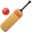 🏏