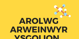 Arolwg i archwilio iechyd a lles penaethiaid ac uwch aelodau staff arwain yn ystod Covid-19