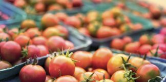 FUW Welcomes Welsh Affairs Committee Recommendations on UK-Australia Trade Deal
