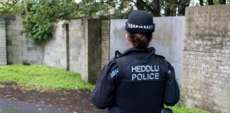 Dyfed-Powys Police Witness Appeal