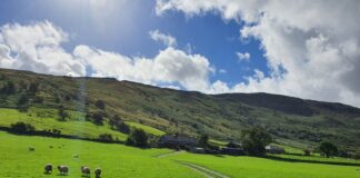 A North Wales Family Has Outlined The Challenges Of Running A Welsh Hill Farm