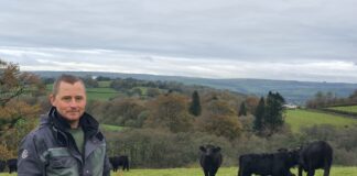 National Botanic Garden Of Wales Farm Leads The Way In Conservation And Food Production